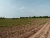 anteprima foto 1 Terreno Vendita Cavriana
