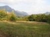 anteprima foto 5 Terreno Vendita Gioia Sannitica