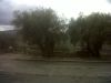 anteprima foto 2 Terreno Vendita Giungano