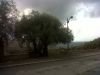 anteprima foto 3 Terreno Vendita Giungano