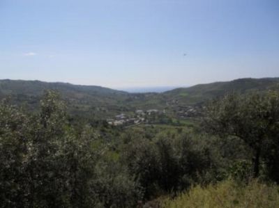 foto Terreno Vendita Laureana Cilento