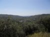 anteprima foto 1 Terreno Vendita Laureana Cilento