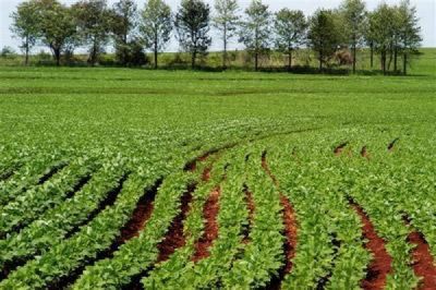 foto Terreno Vendita Motta Di Livenza