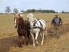 anteprima foto 9 Terreno Vendita Motta Di Livenza