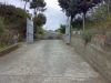 anteprima foto 2 Terreno Vendita Orsomarso