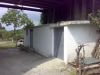 anteprima foto 4 Terreno Vendita Orsomarso