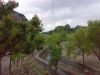 anteprima foto 6 Terreno Vendita Orsomarso
