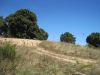 anteprima foto 1 Terreno Vendita Padru