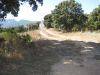 anteprima foto 3 Terreno Vendita Padru