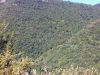 anteprima foto 2 Terreno Vendita Papasidero