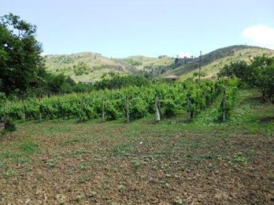 foto Terreno Vendita Perdifumo
