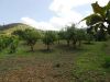 anteprima foto 2 Terreno Vendita Perdifumo