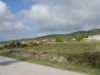 anteprima foto 2 Terreno Vendita Poggio Picenze
