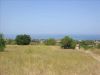 anteprima foto 1 Terreno Vendita Ricadi