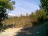 anteprima foto 3 Terreno Vendita San Potito Ultra