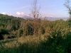 anteprima foto 9 Terreno Vendita San Potito Ultra