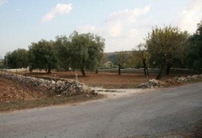 foto Terreno Vendita Sortino