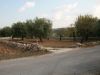 anteprima foto 1 Terreno Vendita Sortino