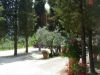 Villa Affitto Impruneta 