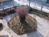 anteprima foto 6 Villa Vendita Annicco