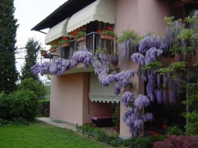 foto Villa Vendita Arignano