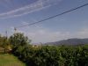anteprima foto 9 Villa Vendita Arnasco