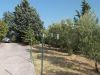 anteprima foto 3 Villa Vendita Bolognano