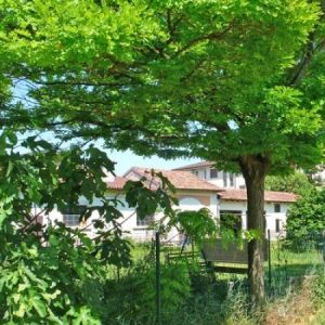 foto Villa Vendita Borgoforte