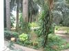 anteprima foto 4 Villa Vendita Calci