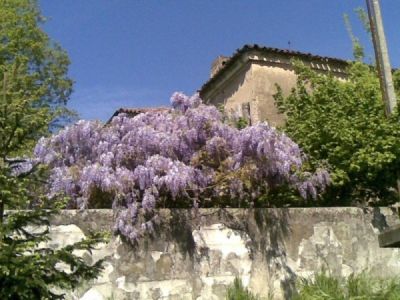 foto Villa Vendita Canda