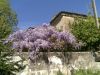 anteprima foto 1 Villa Vendita Canda