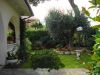 anteprima foto 6 Villa Vendita Castelleone Di Suasa