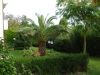 anteprima foto 8 Villa Vendita Castelleone Di Suasa