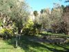 anteprima foto 6 Villa Vendita Castiglioncello