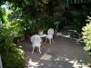 anteprima foto 4 Villa Vendita Catania