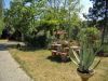 anteprima foto 3 Villa Vendita Coazzolo
