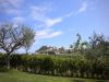 anteprima foto 10 Villa Vendita Colonnella