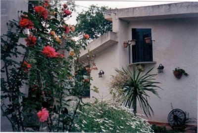 foto Villa Vendita Gualtieri Sicamino'