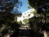 anteprima foto 1 Villa Vendita Isola Del Giglio