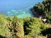 anteprima foto 5 Villa Vendita Isola Del Giglio