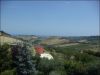 anteprima foto 9 Villa Vendita Lapedona