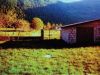 anteprima foto 3 Villa Vendita Letino