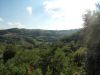 anteprima foto 5 Villa Vendita Loazzolo