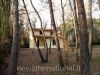 anteprima foto 4 Villa Vendita Massa