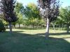 anteprima foto 8 Villa Vendita Meduna Di Livenza