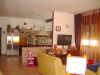 anteprima foto 4 Villa Vendita Migliarino