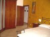 anteprima foto 7 Villa Vendita Migliarino