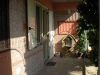 anteprima foto 3 Villa Vendita Moiano