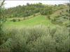anteprima foto 8 Villa Vendita Monsampolo Del Tronto