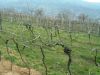 anteprima foto 2 Villa Vendita Montecchia Di Crosara